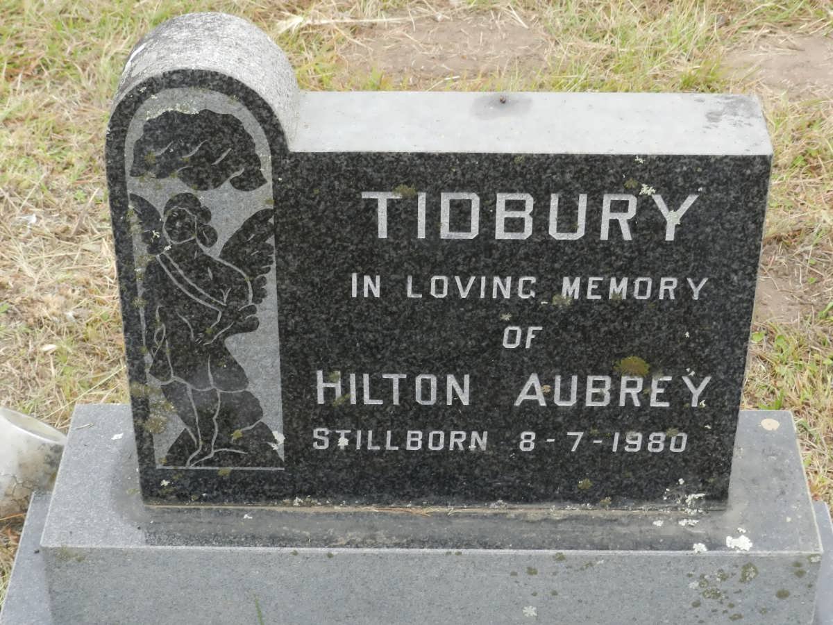 TIDBURY Hilton Aubrey -1980