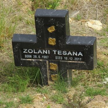 TESANA Zolani 1987-2011