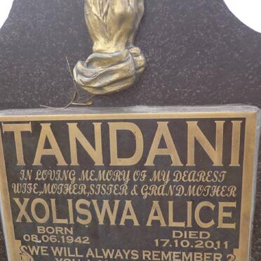 Ta - Surnames starting with the letters Ta