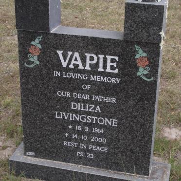 VAPIE Diliza Livingston 1914-2000