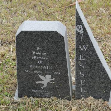 WESSELS Sherwin -2009