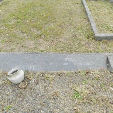 WOOD Willie 1886-1962.JPG