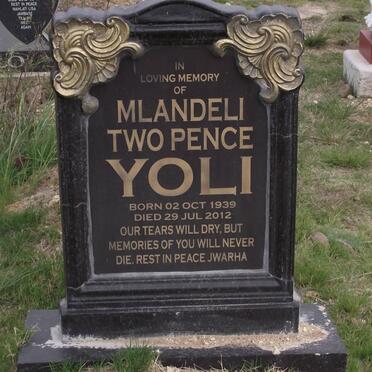 YOLI Mlandeli Two Pence 1939-2012