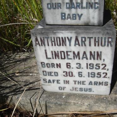 LINDEMANN Anthony Arthur 1952-1952