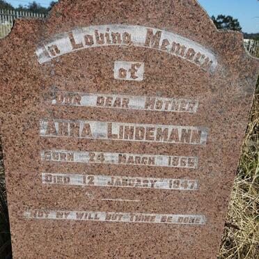 LINDEMANN Anna 1866-1947