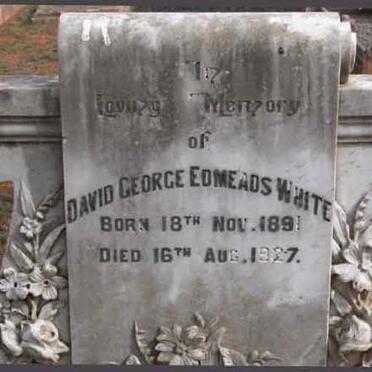 WHITE David George Edmeads 1891-1927