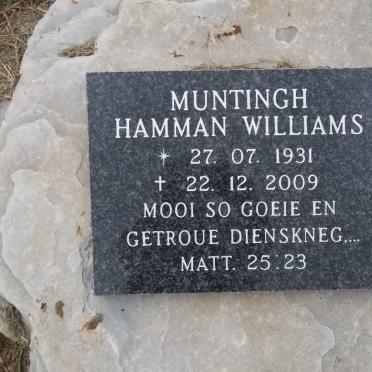 WILLIAMS Muntingh Hamman 1931-2009