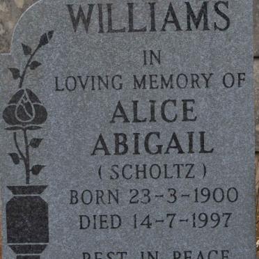 WILLIAMS Alice Abigail nee SCHOLTZ 1900-1997