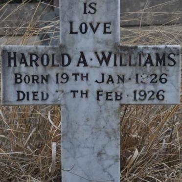 Eastern Cape, HANKEY district, Loerie River 436, Woodville cemetery