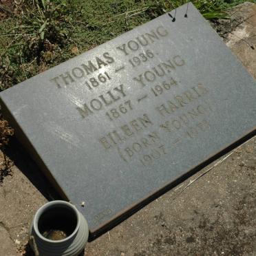 YOUNG Thomas 1861-1936 &amp; Molly 1867-1964 :: HARRIS Eileen nee YOUNG 1907-1973 