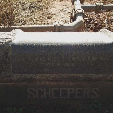 SCHEEPERS G.S. 1873-1955 &amp; C.A. 1883-1968
