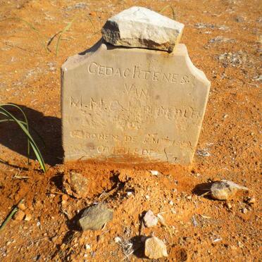 LEN? M.M., van der ?-?