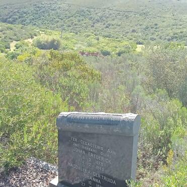 Eastern Cape, HUMANSDORP district, Kabeljousrivier, Misgund 341, Single grave
