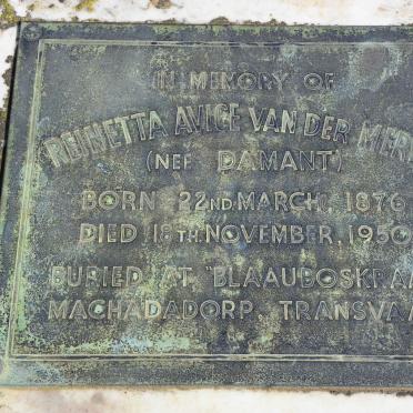 MERWE Reinetta Avice, van der nee DAMANT 1876-1950