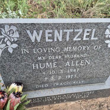 WENTZEL Hume Allen 1947-1973