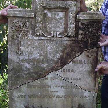 MULLER Jacoba Fredrica nee FERREIRA 1864-1933