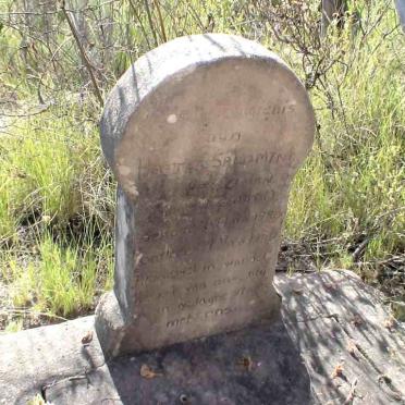 Eastern Cape, HUMANSDORP district, Misgunst 239_2, Onderplaas, farm cemetery