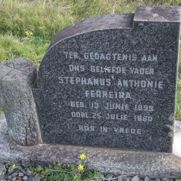 Eastern Cape, HUMANSDORP district, Jeffreys Bay, Kabeljauws Rivier 321_3, Sonop farm cemetery