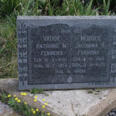 FERREIRA Anthonie M. 1856-1934 &amp; Jacomina A. 1859-1929