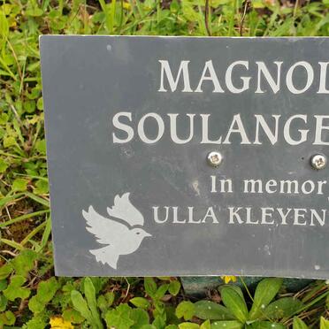 KLEYENSTUBER Ulla