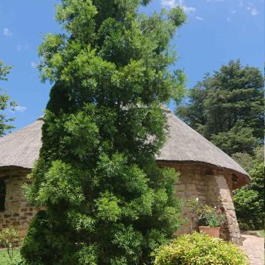 2. St. Patrick-on-the Hill Chapel