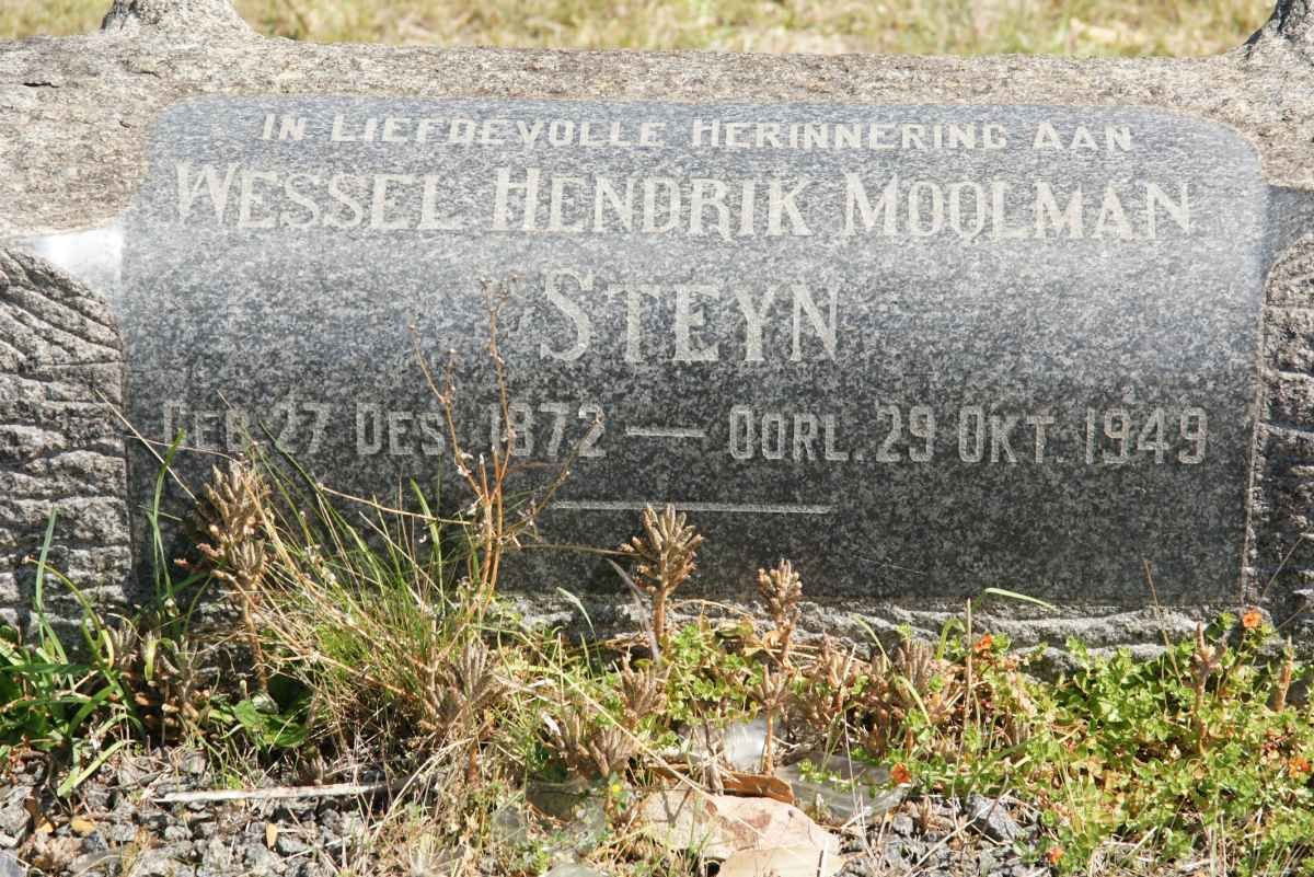 STEYN Wessel Hendrik Moolman 1872-1949