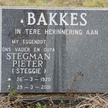 BAKKES Stegman Pieter 1920-2001