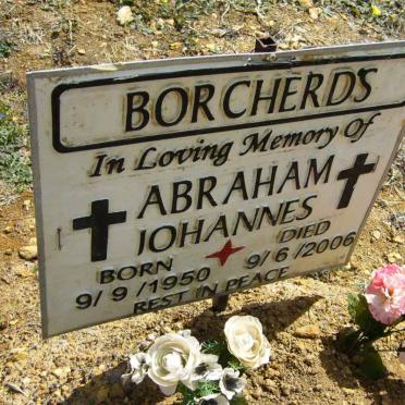 BORCHERDS Abraham Johannes 1950-2006