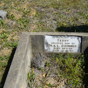 DEMMER Teddy 1920-1920