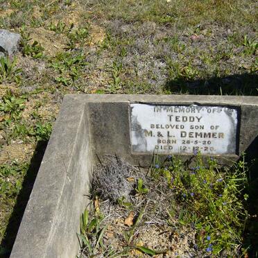 DEMMER Teddy 1920-1920