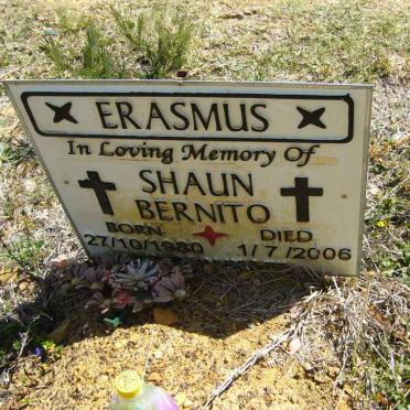 ERASMUS Shaun Bernito 1980-2006