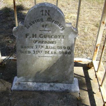 GUSCOTT F.H.  1898-1900