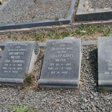 MEYER Antoinette nee FERREIRA 1908-1979 :: MEYER Gert 1892-1983 :: MEYER Hester Helena nee DU PLESSIS 1898-1984