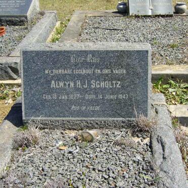 SCHOLTZ Alwyn H.J. 1877-1947