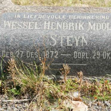 STEYN Wessel Hendrik Moolman 1872-1949