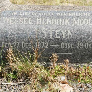 STEYN Wessel Hendrik Moolman 1872-1949