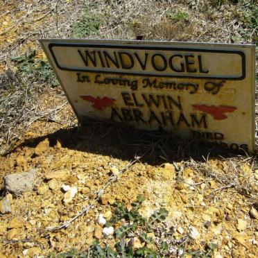 WINDVOGEL lwin Abraham -2006