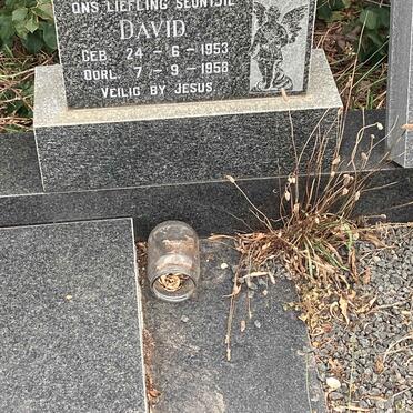 ? David 1953-1958