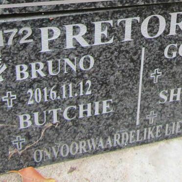 PRETORIUS Bruno -2016 :: PRETORIUS Butchie :: PRETORIUS Shivan