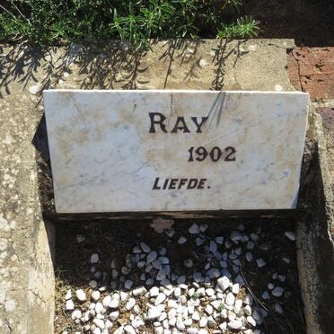 ? Ray -1902