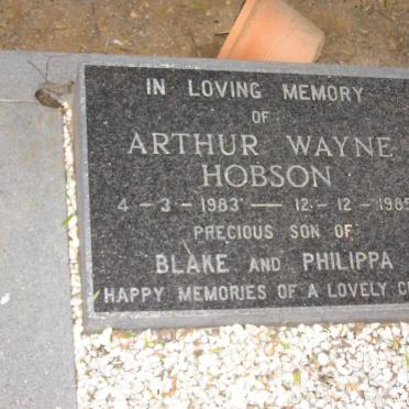 HOBSON Arthur Wayne 1983-1985