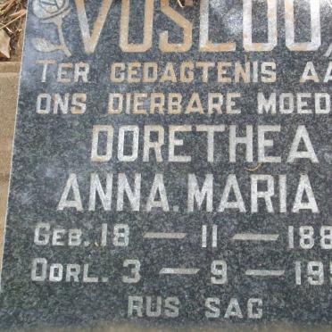 VOSLOO Dorethea Anna Maria 1882-1951