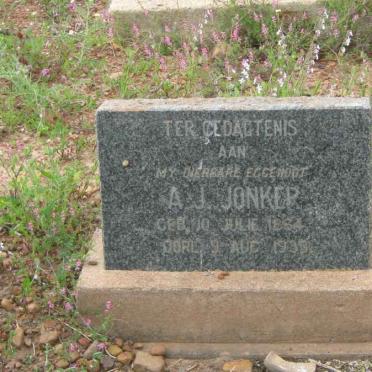 Eastern Cape, JOUBERTINA district, Bo-Komgha, Louterwater, cemetery_2