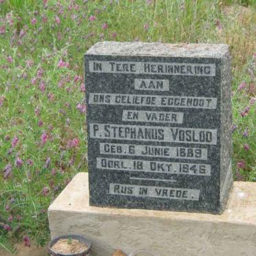 VOSLOO P. Stephanus 1889-1946