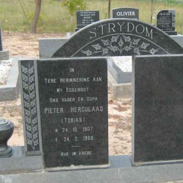 STRYDOM Pieter Herculaas 1907-1968