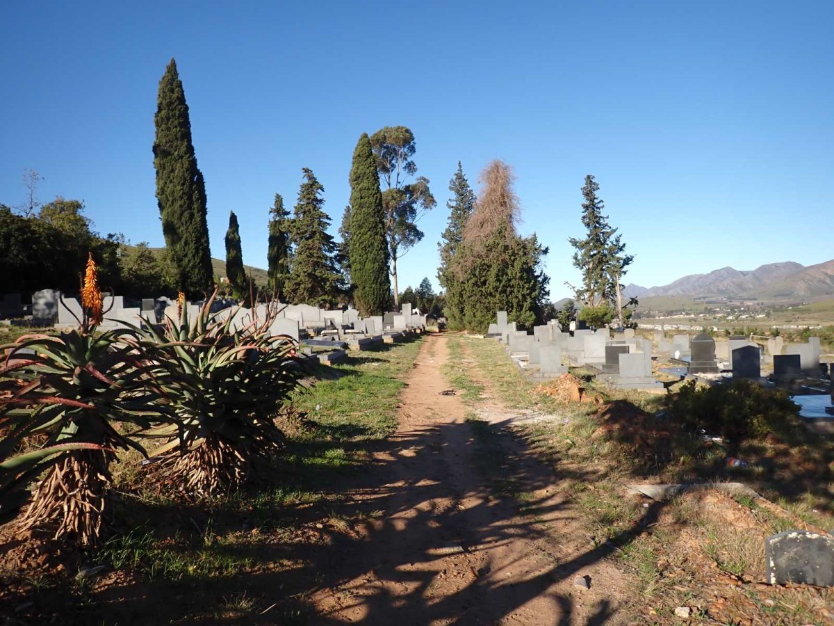3. Overview