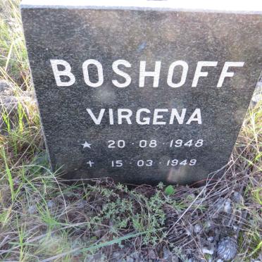 BOSHOFF Virgena 1948-1949