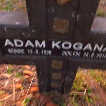 KOGANA Adam 1938-2012
