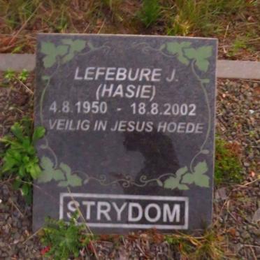 STRYDOM Lefebure J. 1950-2002