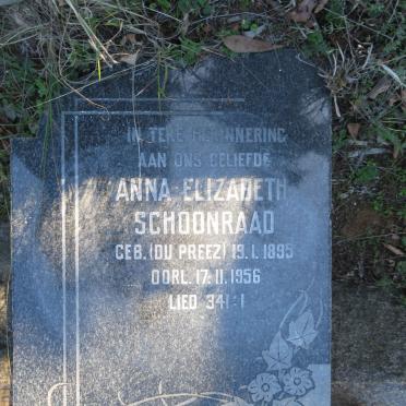 SCHOONRAAD Anna Elizabeth nee DU PREEZ 1895-1956